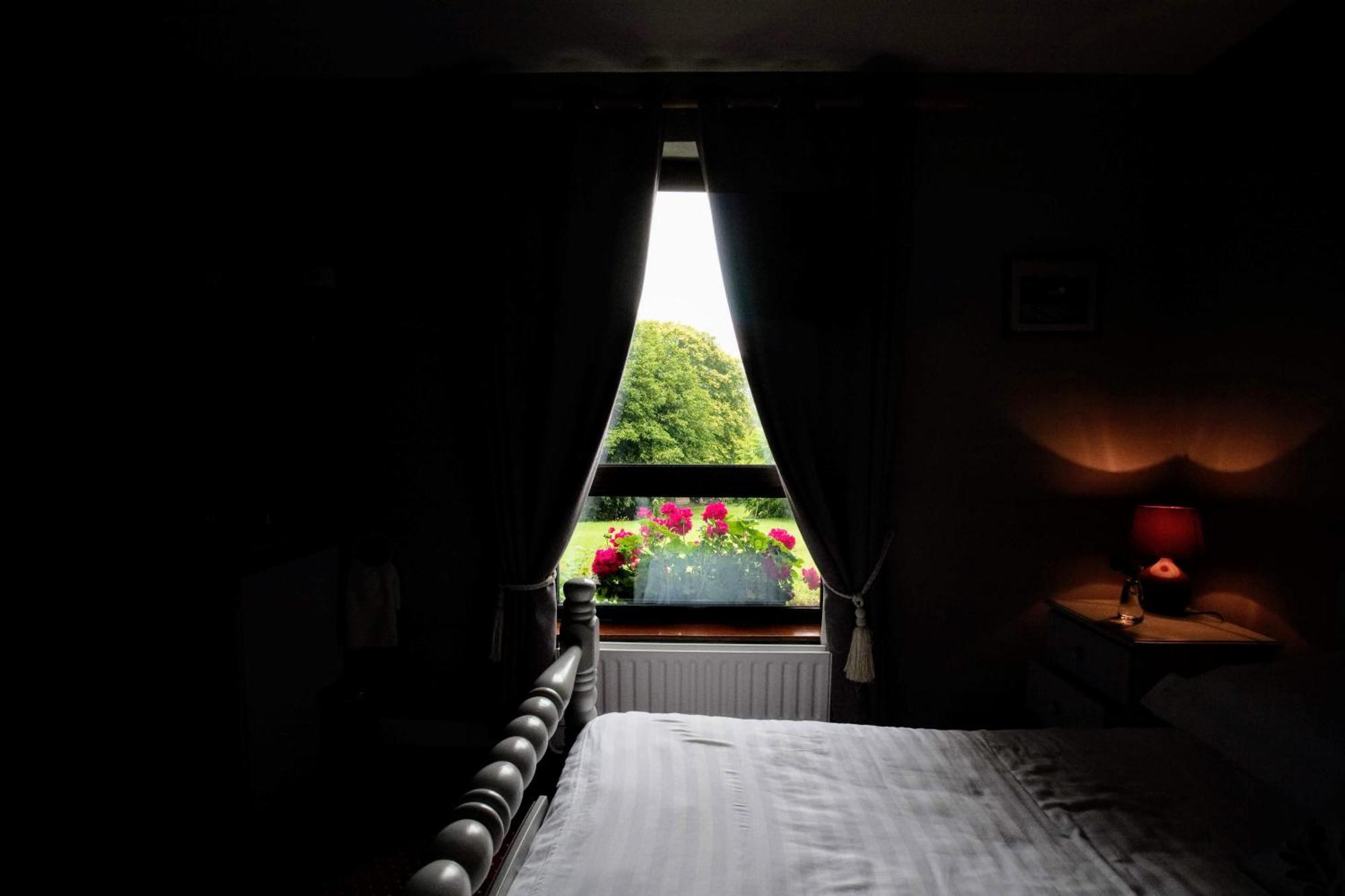 Abbey View Bed & Breakfast Galway Exterior foto
